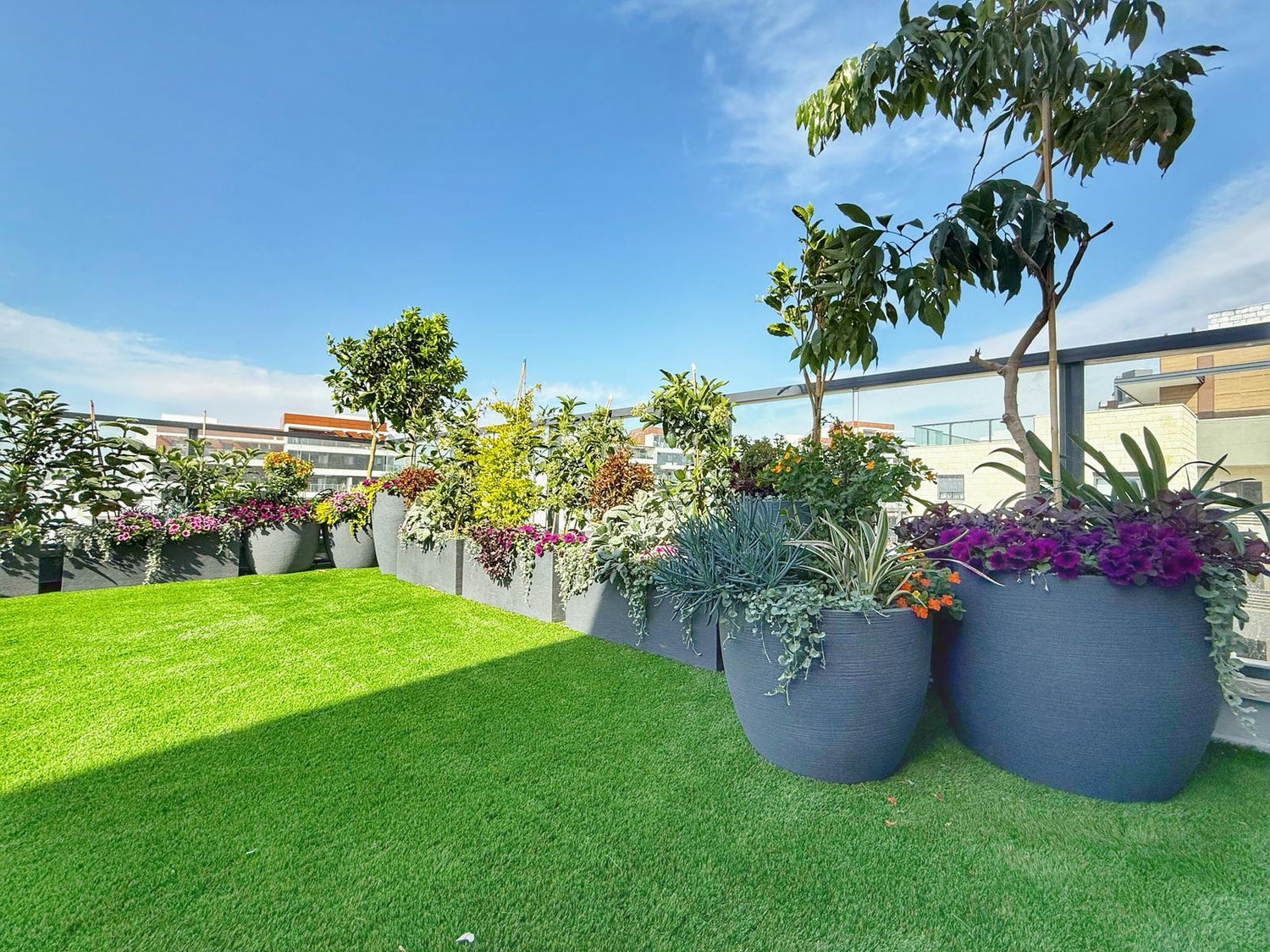 הקמת גינה במרפסת במודיעין – פרויקט פנטהאוז ירוק ומעוצב 🌿