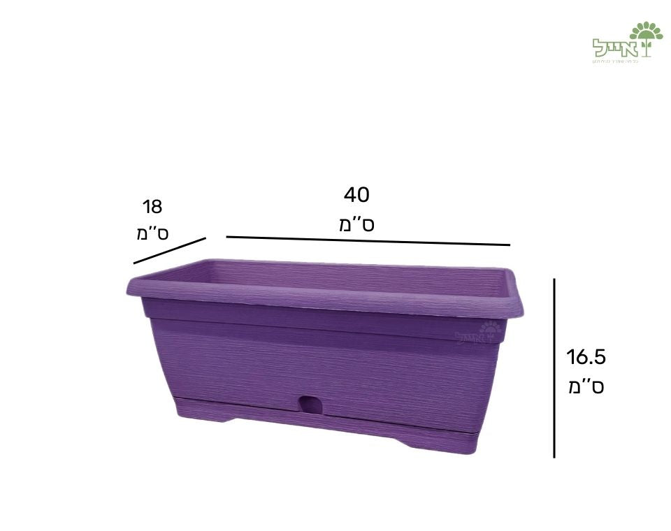 אדנית צבר | סגול | 40 ס״מ