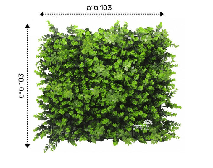 קיר ירוק מתכוונן - ירוק בהיר | 50/50 ס״מ