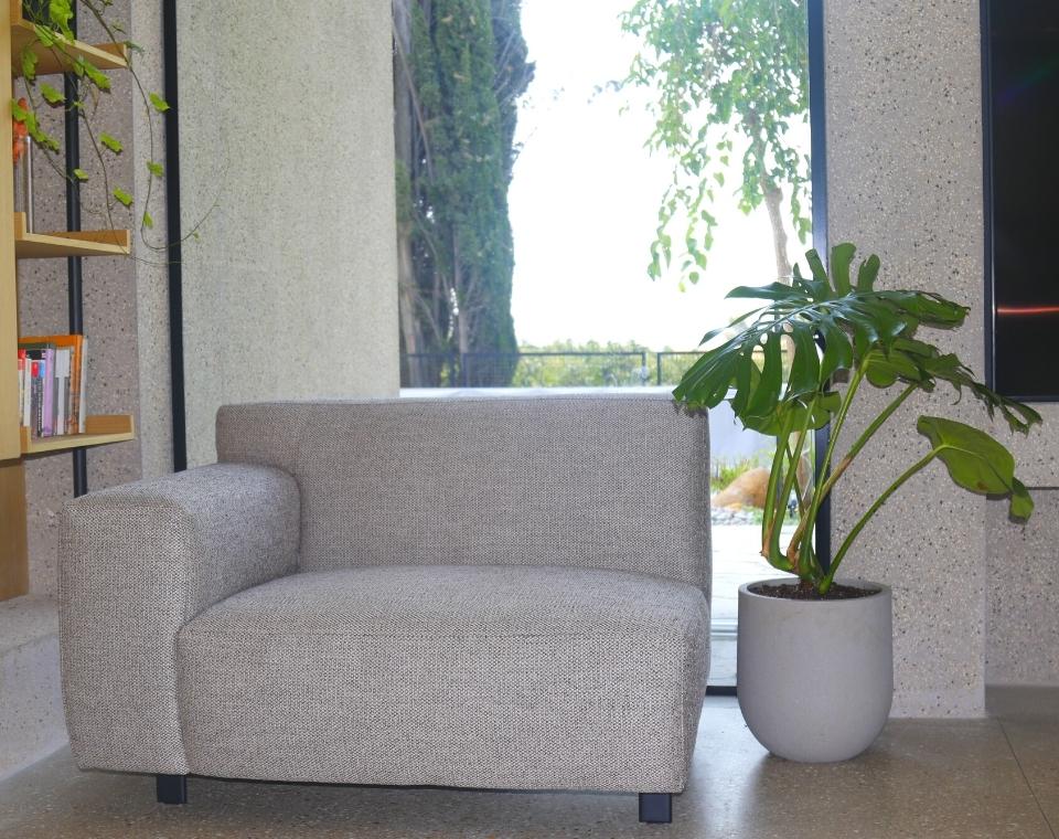 כד מעוצב עגול | 37 ס״מ | צמח מונסטרה