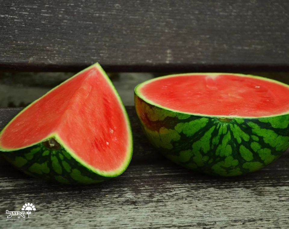 אבטיח סידלס | 10 זרעים