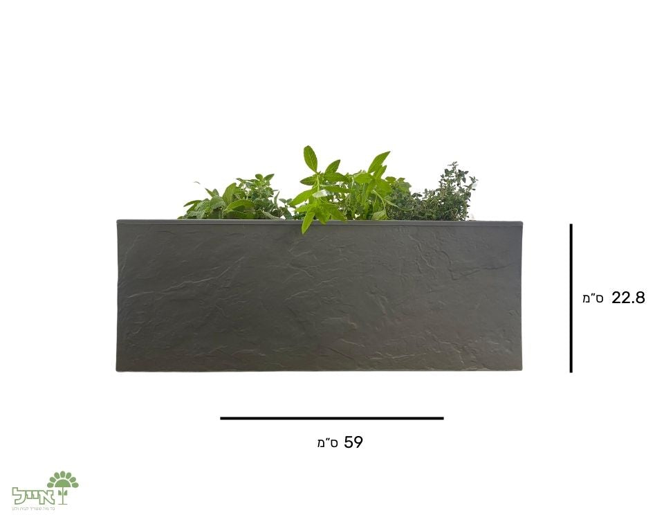 אדנית קטנה דמוי אבן | 3 צמחים לבחירה | 59X19.5X22.8 | אפור בהיר