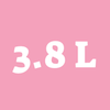 3.8L