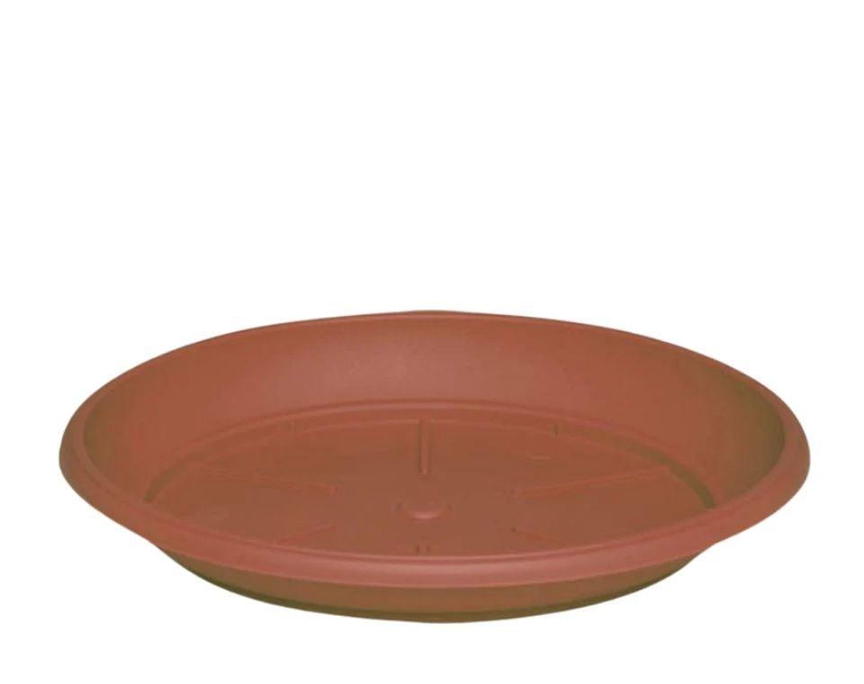 צלחת ערד | תחתית בקוטר 48 ס"מ | גובה 5.5 ס"מ | טרקוטה