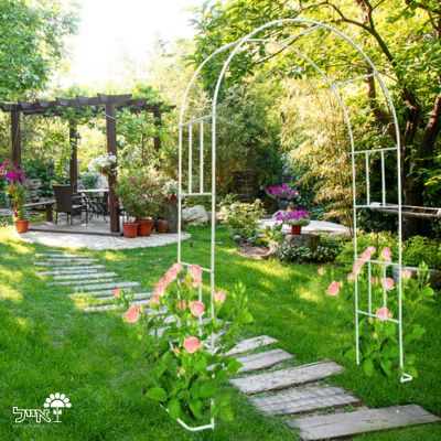 קשת מברזל לטיפוס צמחים | 240x146x38 | לבן | דגם אורנית