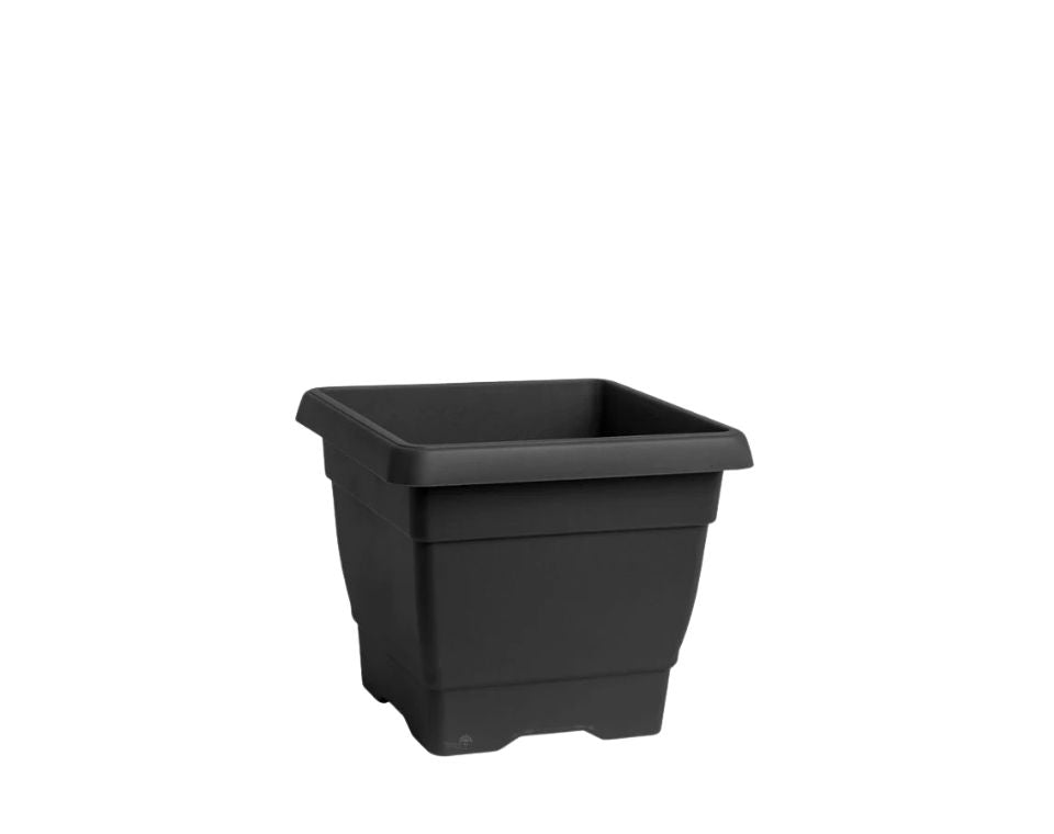 מרובע גלבוע | פחם | 35X35