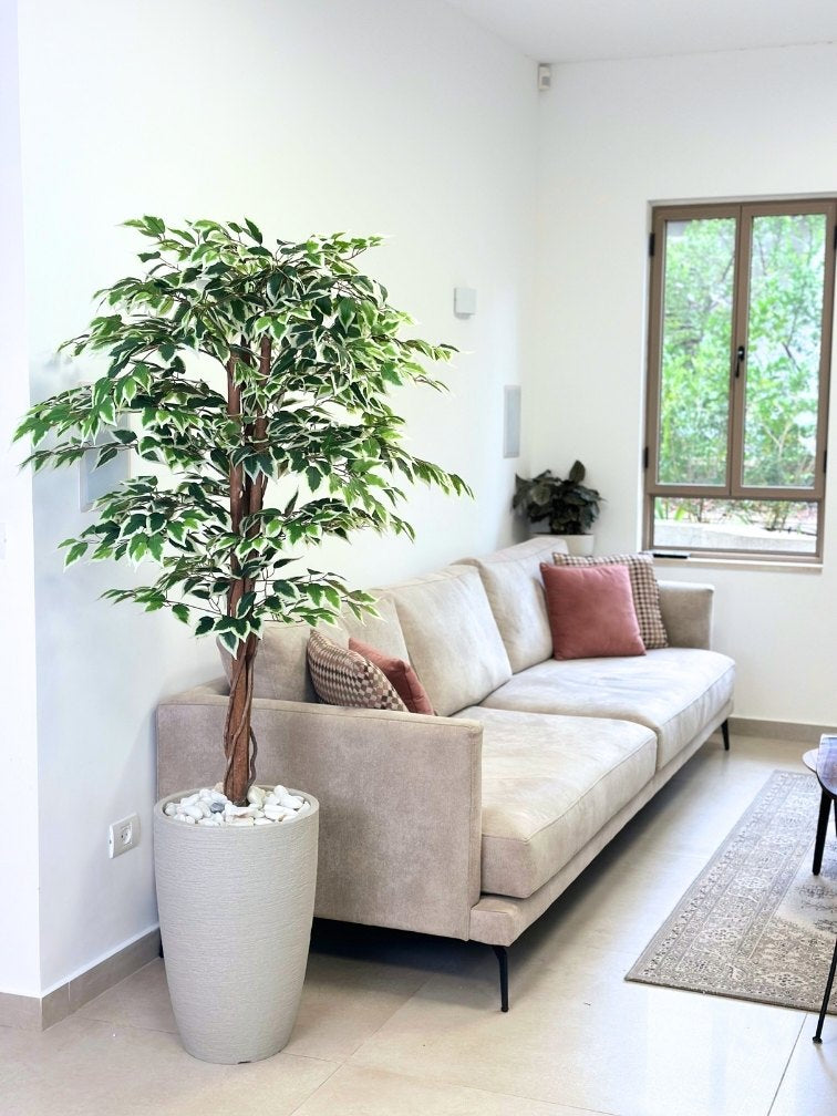 עץ מלאכותי פיקוס בנימינה | כד פמילי בינוני | גובה 1.85 מטר