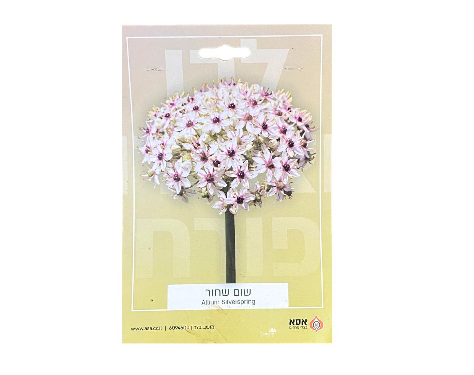 שום שחור | 3 יחידות