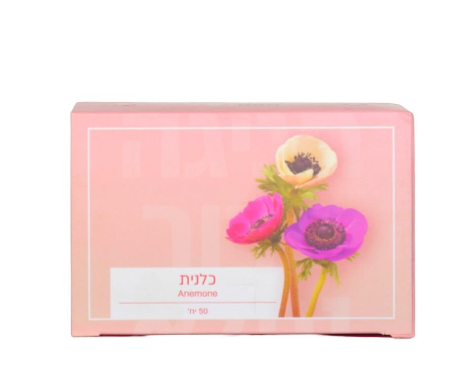 מארז פקעות | כלניות | 50 פקעות