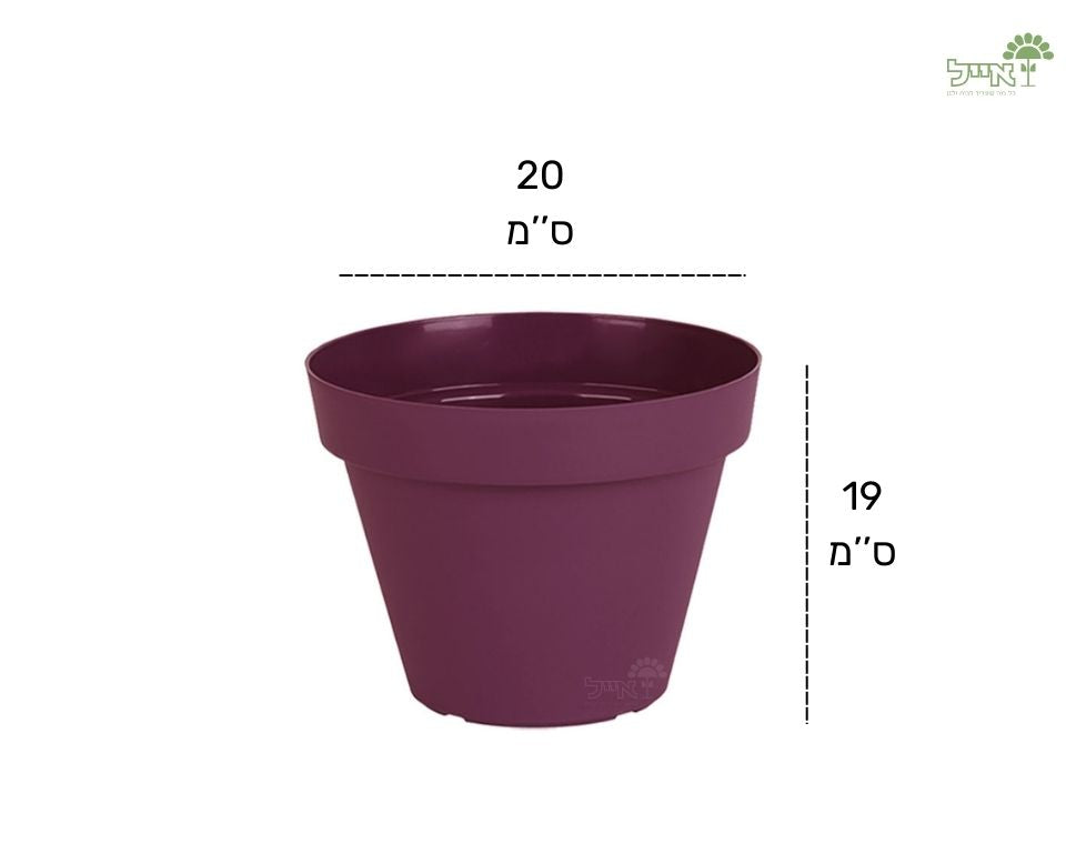 עציץ אביב | סגול כהה | קוטר 20 ס"מ