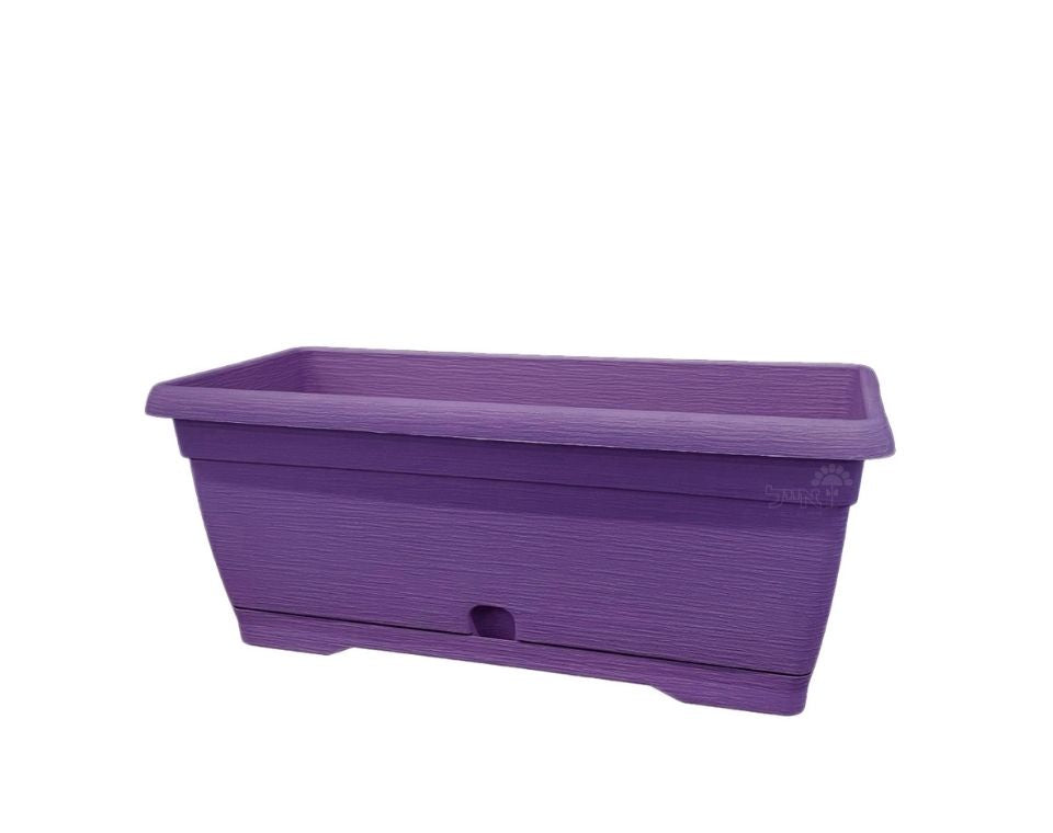 אדנית צבר | סגול | 40 ס״מ