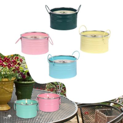 חביתוש XL | נר דוחה יתושים דקורטיבי | 36 שעות בעירה | מגוון צבעים