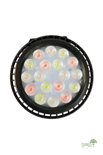 תאורה סולארית לגינה | 7 צבעים | GARDEN