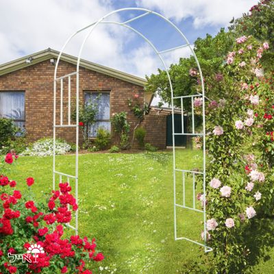 קשת מברזל לטיפוס צמחים | 240x146x38 | לבן | דגם אורנית