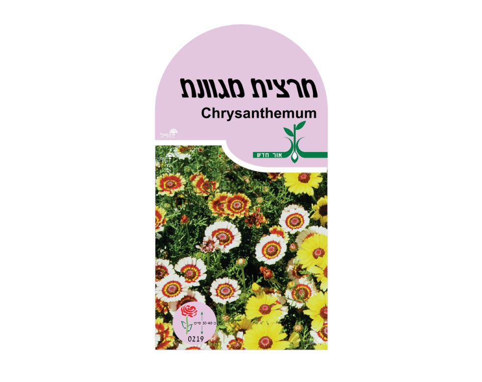 תערובת חרציות | כ-20 זרעים