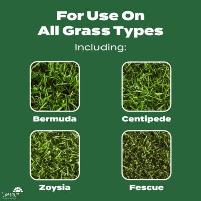 בונה מדשאה | דשן מקצועי לדשא ירוק, צפוף וחזק | 1400 מ"ר | 19 ק"ג