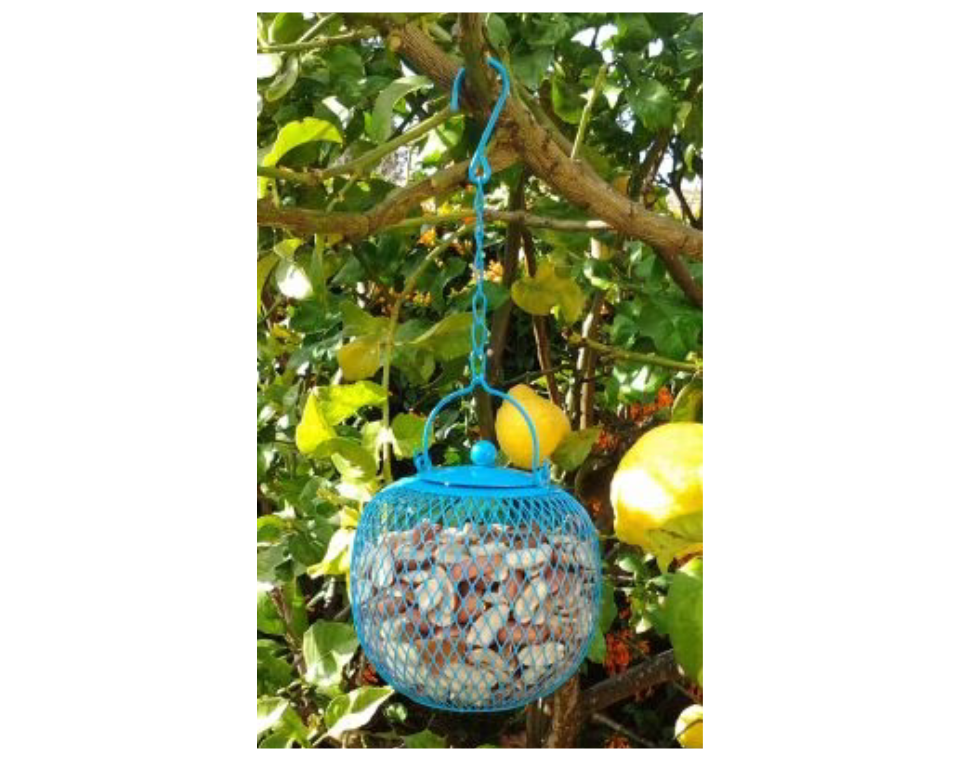 מתקן האכלה כדורי ממתכת לציפורים | 11X12 | כחול