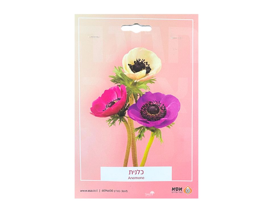 תערובת כלנית | 10 יחידות