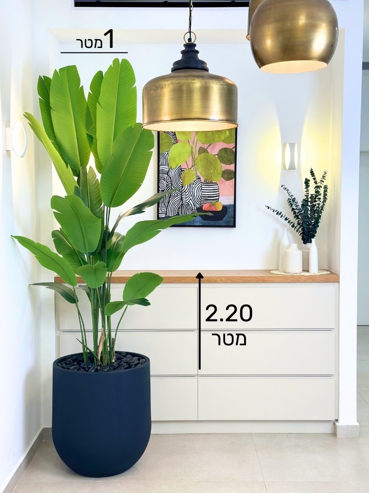 ציפור גן עדן | כד אגס גדול | גובה 2.20 מטר