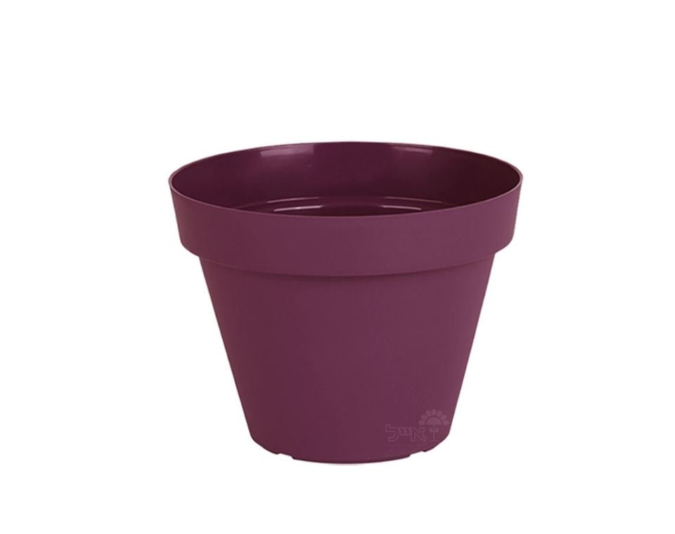 עציץ אביב | סגול כהה | קוטר 18 ס"מ