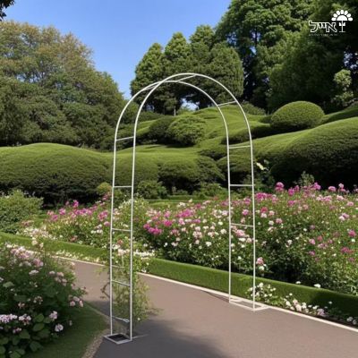 קשת ברזל לטיפוס צמחים | 230X140 | דגם גפן | לבן