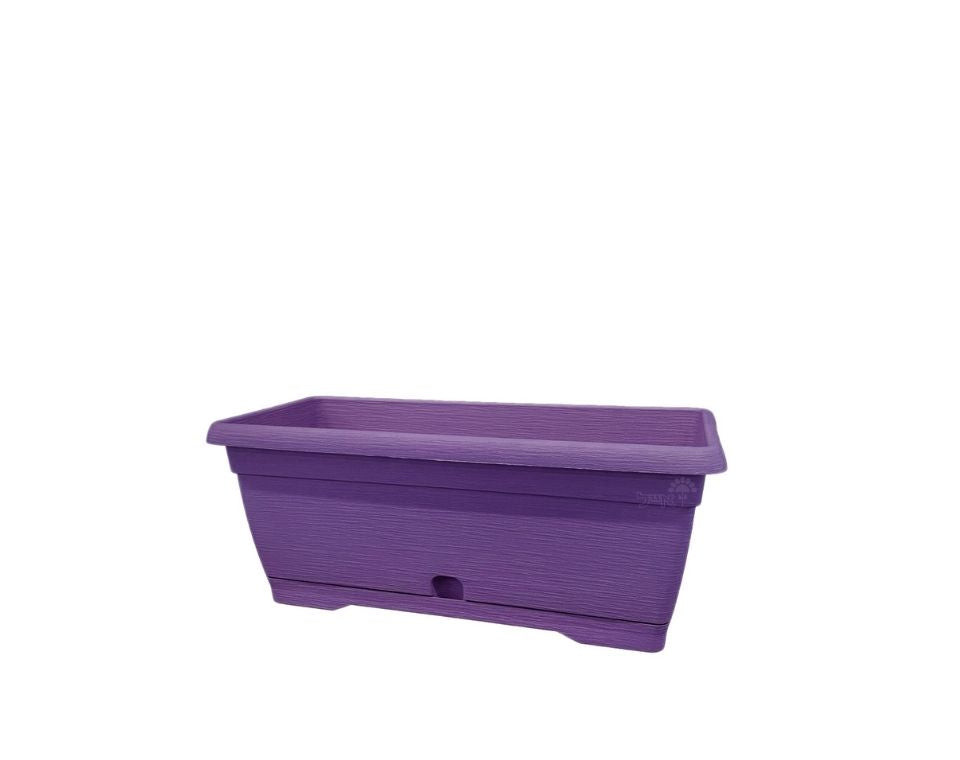 אדנית צבר | סגול | 35 ס״מ