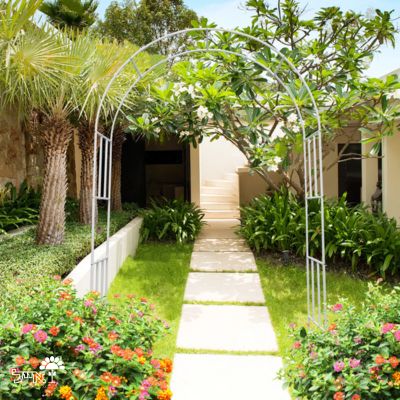 קשת מברזל לטיפוס צמחים | 240x146x38 | לבן | דגם אורנית