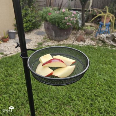 עמוד האכלה מברזל לציפורים | 190X50 | דגם 1001320 | שחור