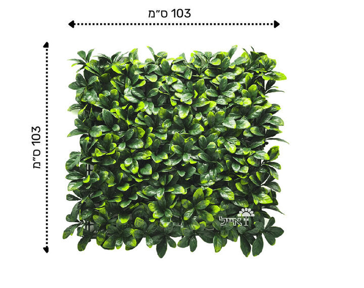 קיר ירוק מתכוונן - עלים ירוקים | 100/100 ס״מ