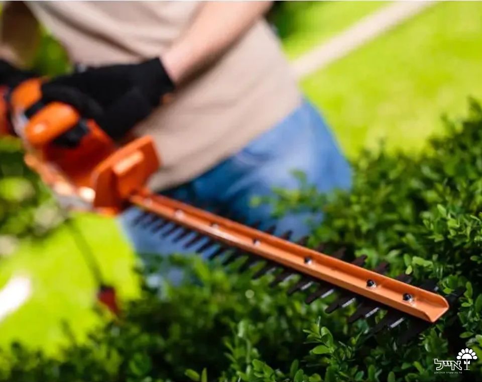 מגזמת חשמלית | 500W | אורך להב 47 ס"מ | דגם VHT 500