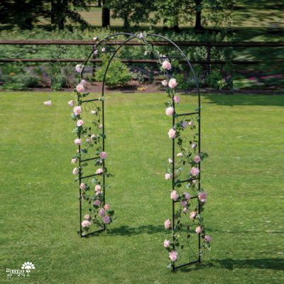 קשת ברזל לטיפוס צמחים | 220X140 | דגם בוטני-קיסוס | שחור