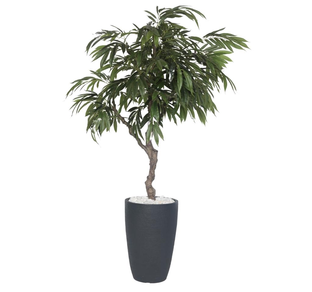 עץ מנגו מלאכותי בכד פמילי בינוני | 195 ס"מ