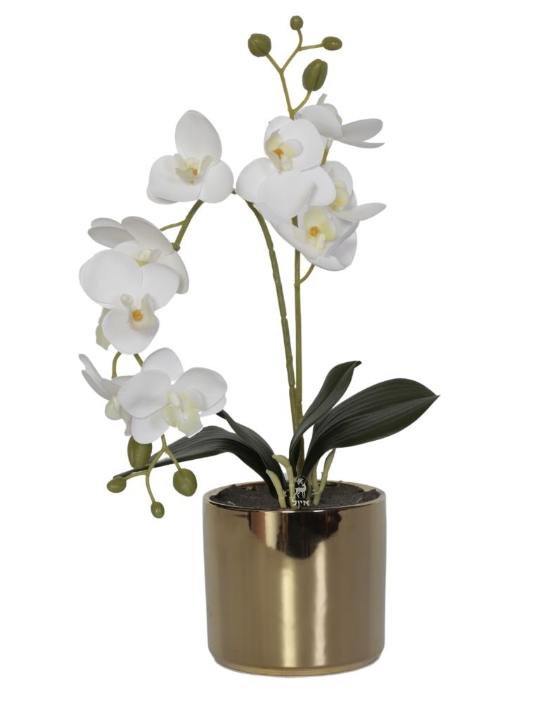 עץ סחלב מלאכותי | כולל כד זהב