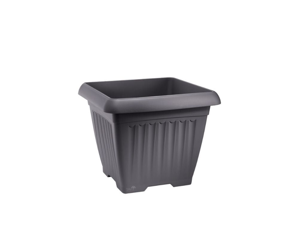 מרובע קורפו | פחם | 50X50