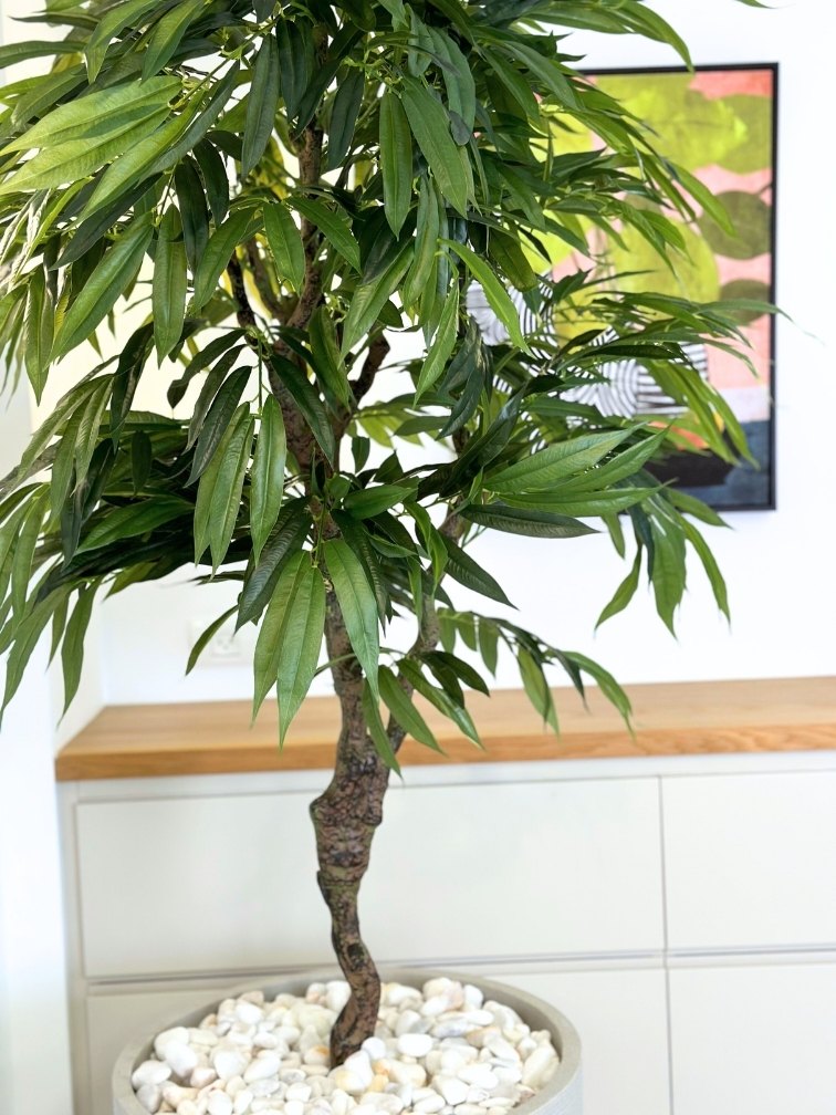 עץ מלאכותי ליצי | כד פמילי גדול | גובה 2.15 מטר