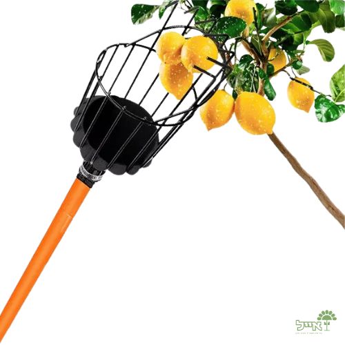 קוטף פירות ידני | ידית עץ | TRUPER