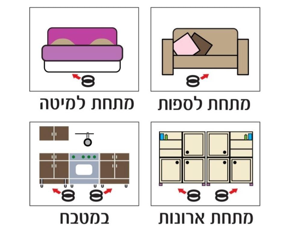 מיני בלאק | תחנת האכלה לנמלים ולמקקים