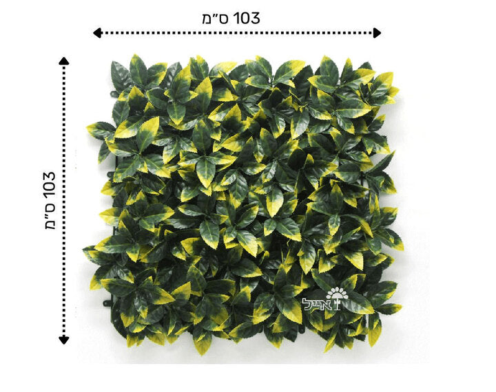 קיר ירוק מתכוונן - קצוות צהובים| 50/50 ס״מ