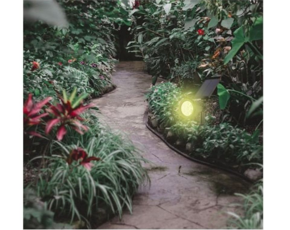 דוקרן גינה סולארי RGB | 6W | צבעוני