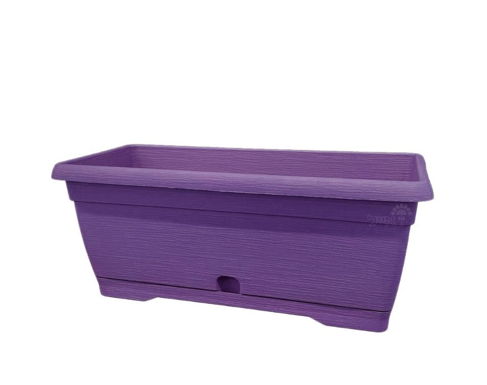 אדנית צבר | סגול | 60 ס״מ