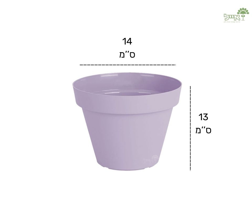 עציץ אביב | סגול לילך | קוטר 14 ס"מ