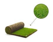 דשא מוכן - אלטורו | דשא טבעי