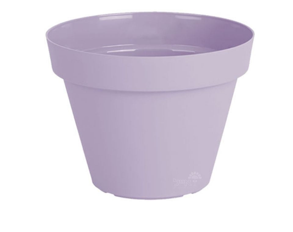 עציץ אביב | סגול לילך | קוטר 40 ס"מ