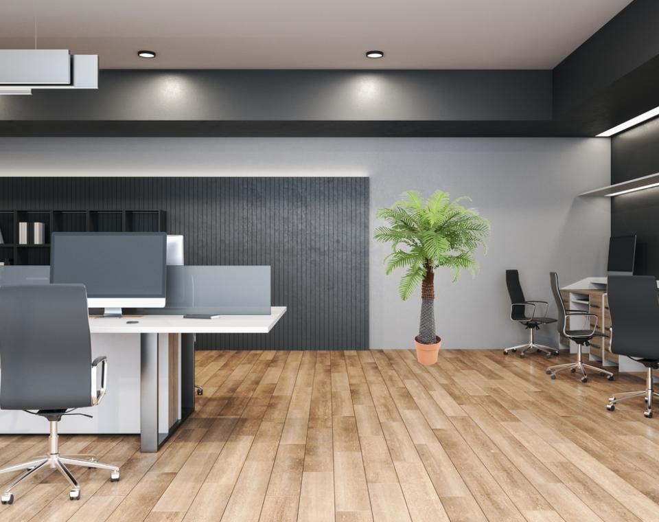 דקל מלך מלאכותי ננסי | 115 ס"מ