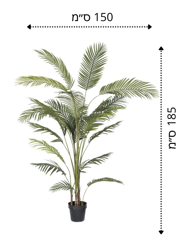 עציץ דקל מלאכותי | גובה 185 ס״מ