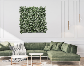 קיר ירוק מתכוונן - פרח לבן |50/50 ס״מ