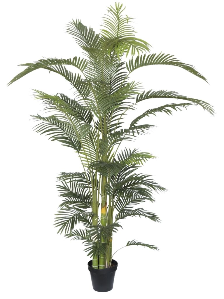 עציץ דקל מלאכותי | גובה 240 ס״מ