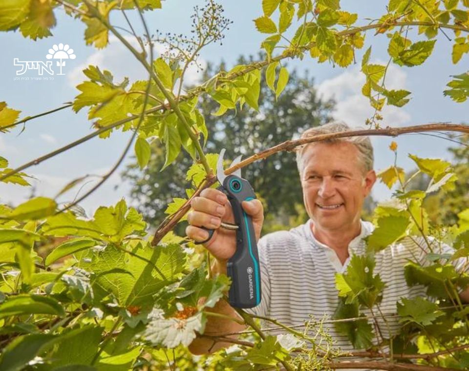 מזמרה נטענת מקצועית AssistCAT | דגם 12222-30 | GARDENA