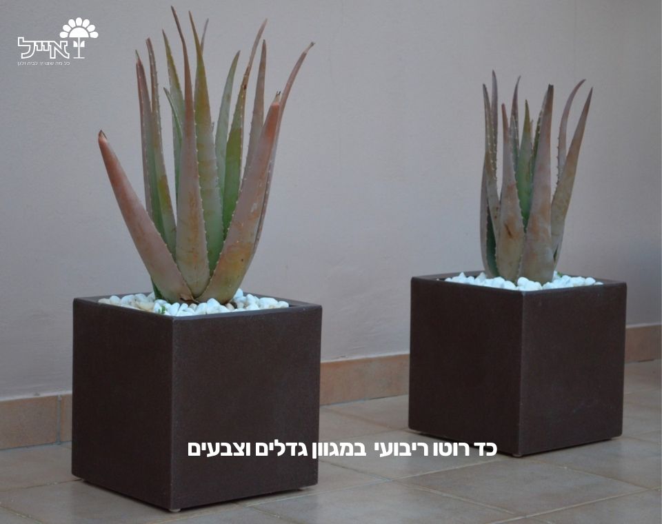 כד רוטו ריבועי | אבן | 30X30X30 ס''מ