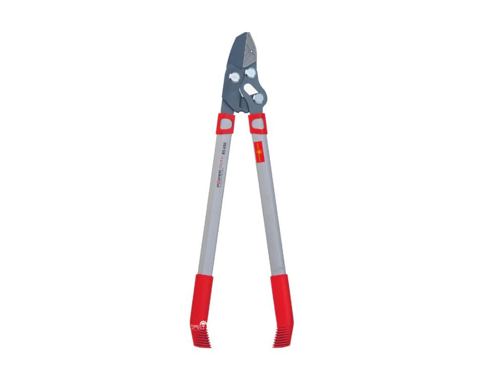 מזמרת ענפים | WOLF GARTEN | RS650